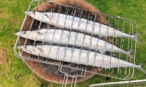 秋の味覚