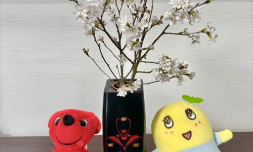 東京オフィスに春の訪れ